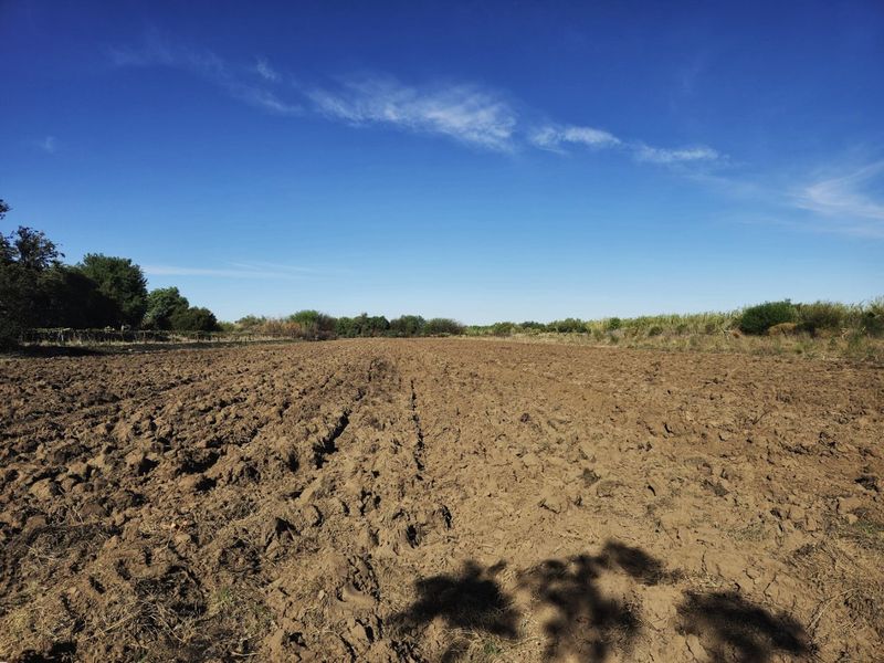 Irrigation farm at Kanoneiland, Upington/Keimoes - Photo 5