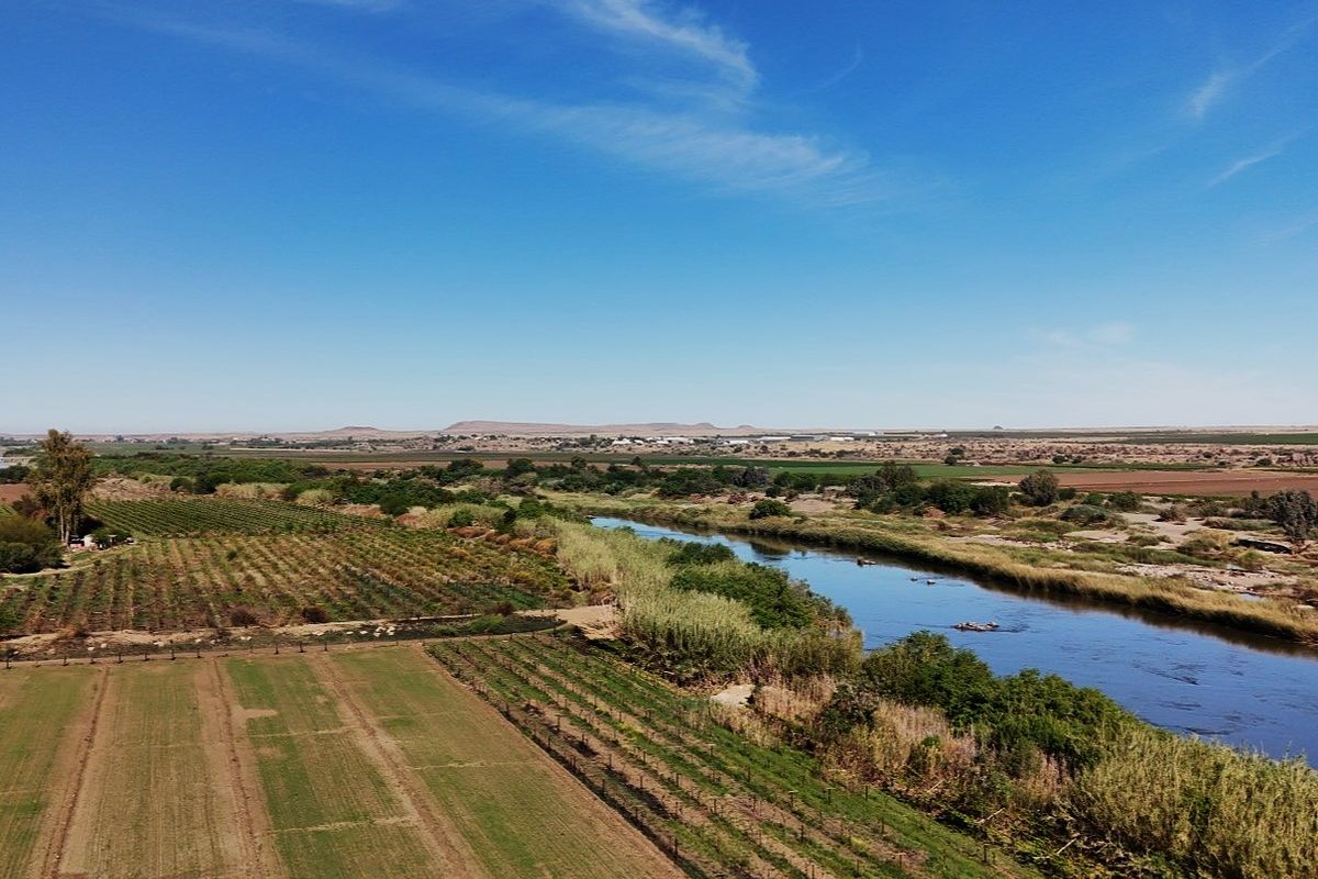 Irrigation farm at Kanoneiland, Upington/Keimoes - Photo 3