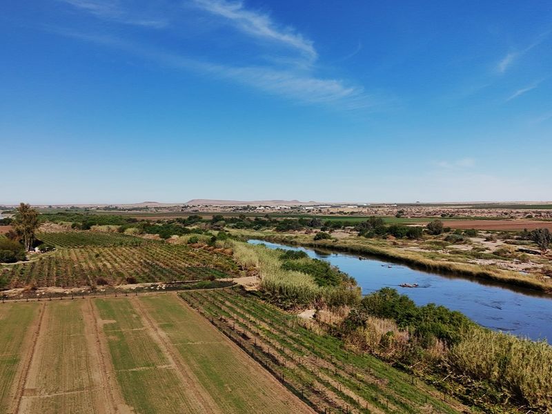 Irrigation farm at Kanoneiland, Upington/Keimoes - Photo 3