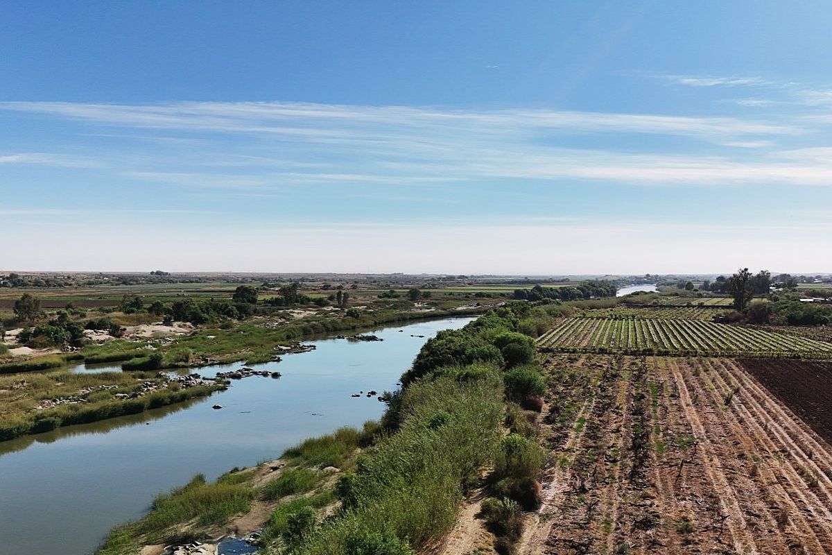 Irrigation farm at Kanoneiland, Upington/Keimoes - Photo 2