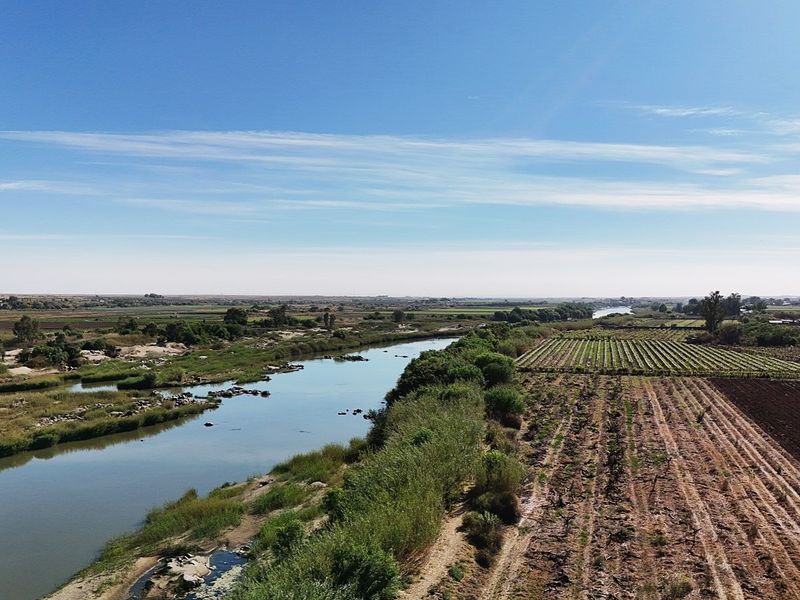 Irrigation farm at Kanoneiland, Upington/Keimoes - Photo 2