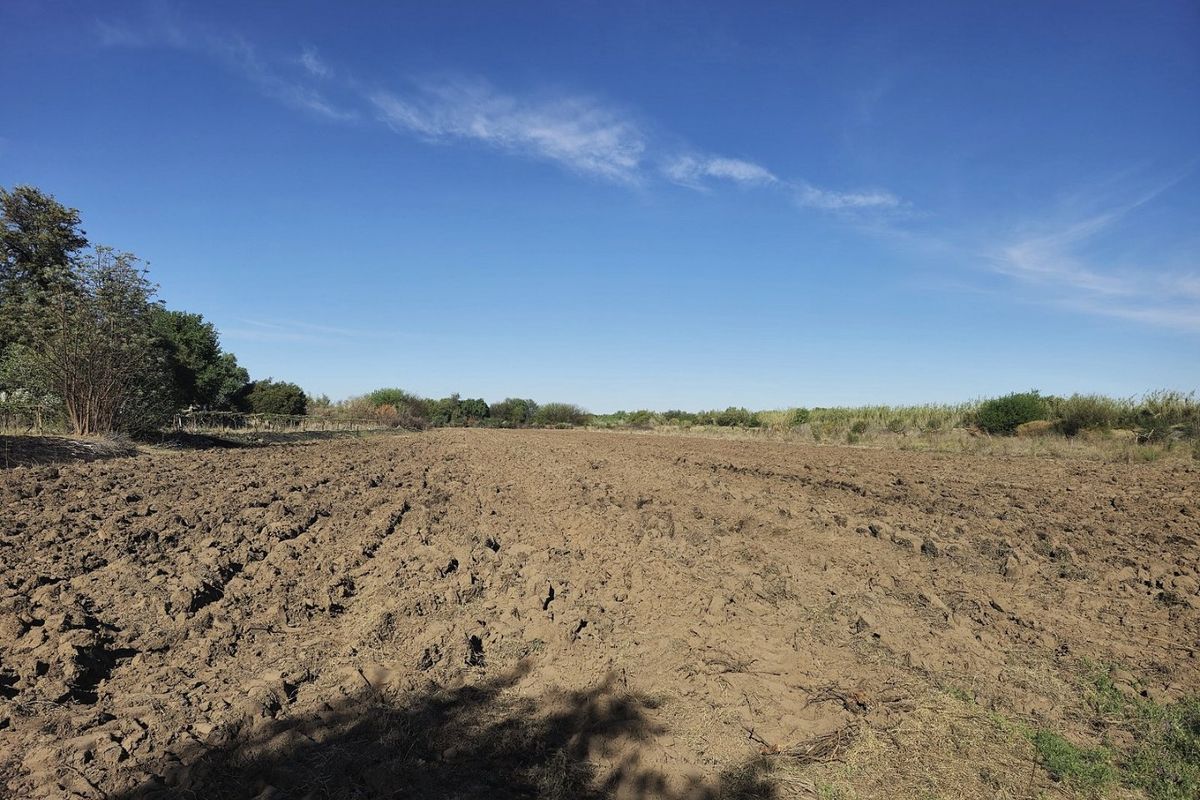 Irrigation farm at Kanoneiland, Upington/Keimoes - Photo 4