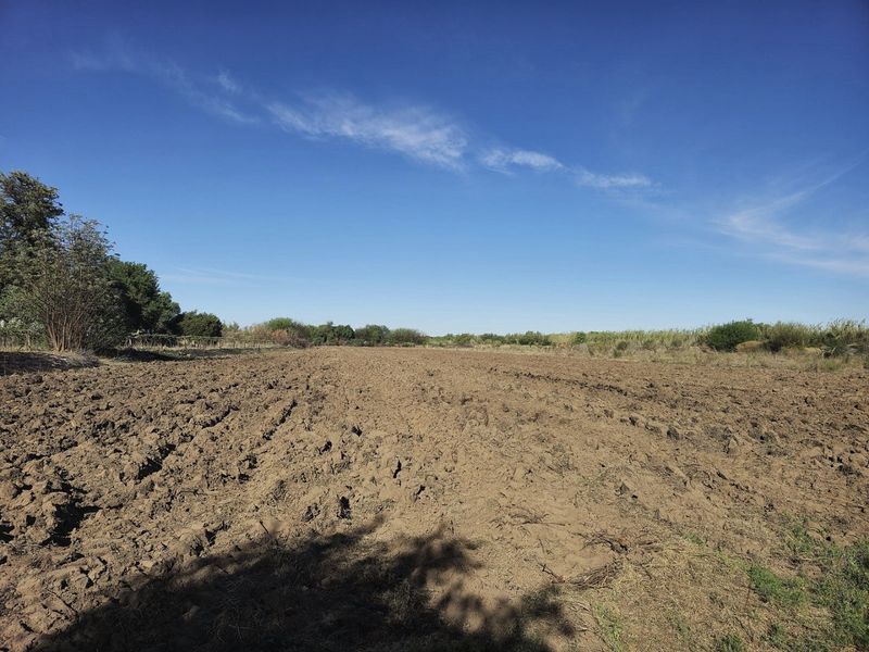 Irrigation farm at Kanoneiland, Upington/Keimoes - Photo 4