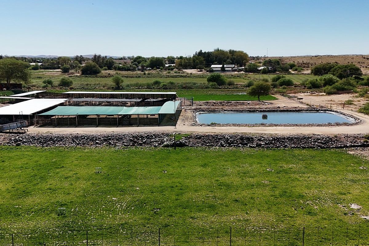 Smallholding for Sale Near Upington - Photo 4