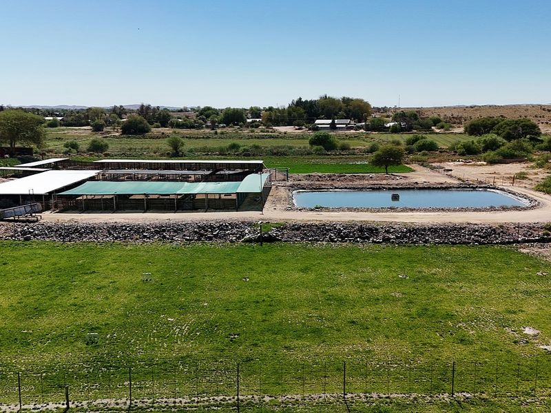 Smallholding for Sale Near Upington - Photo 4