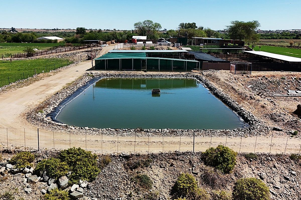 Smallholding for Sale Near Upington - Photo 3