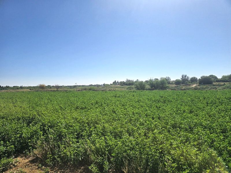 Smallholding for Sale Near Upington - Photo 5