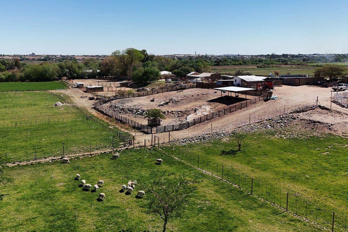 Smallholding for Sale Near Upington - Photo 2