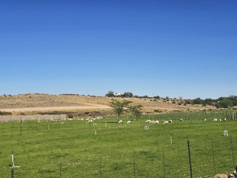 Smallholding for Sale Near Upington - Photo 10