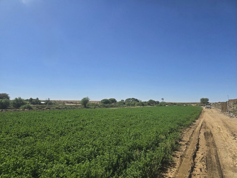 Smallholding for Sale Near Upington - Photo 6