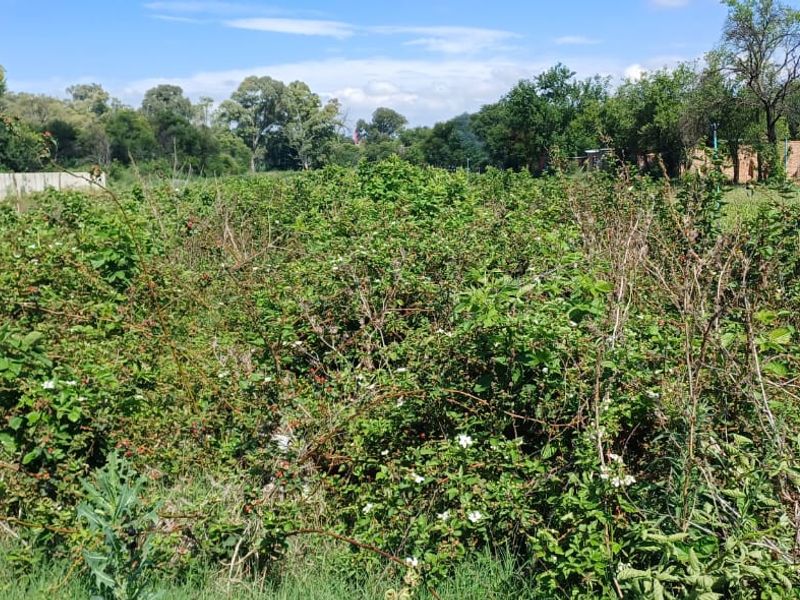 Charming Smallholding with Vintage Farmhouse – Ideal for Country Living & Farming - Photo 10