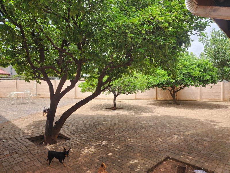 4 BEDROOM HOUSE AND FLATLET IN ROOSHEUWEL - Photo 4