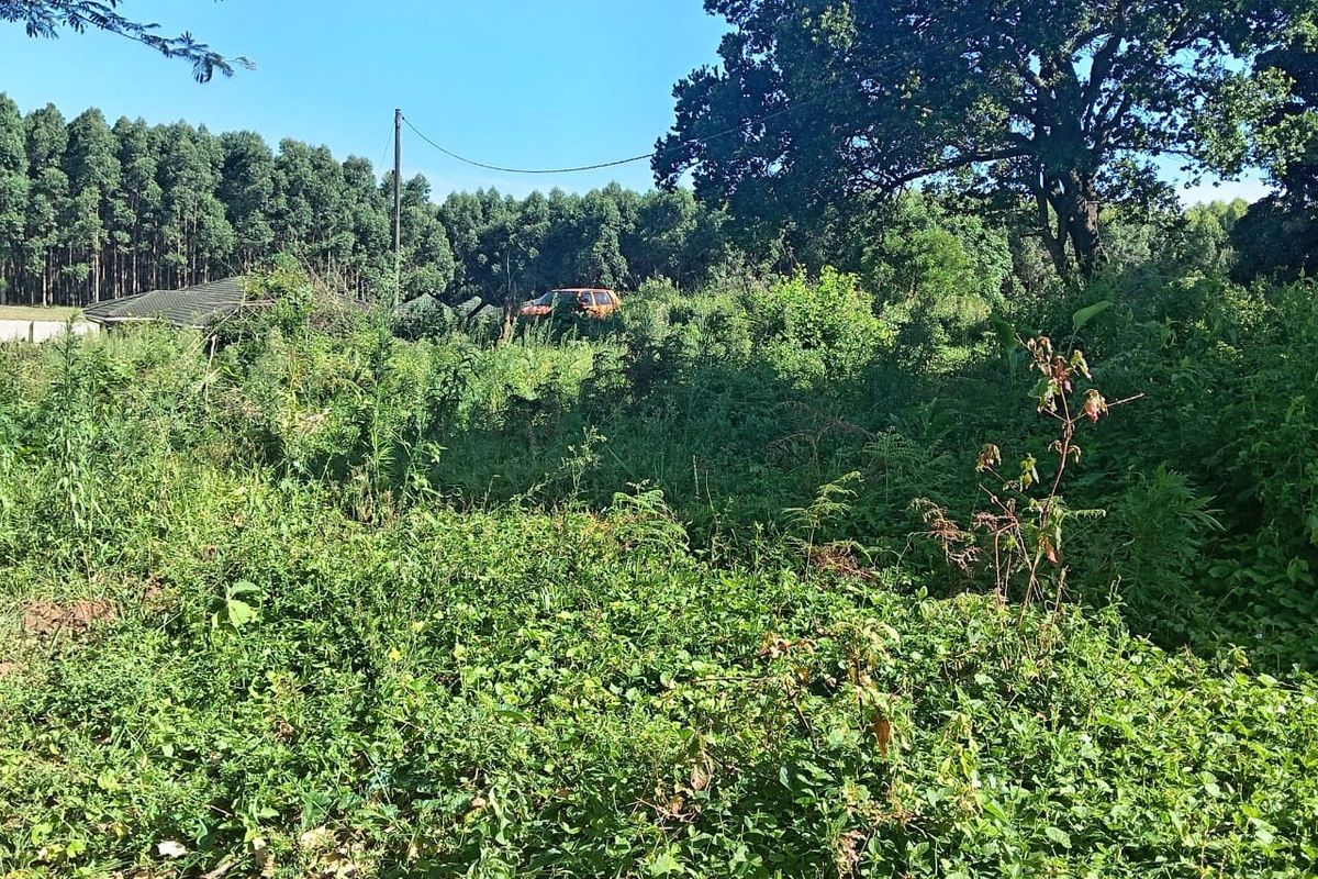 0 Bed Vacant Land in Ongoye, Empangeni Rural for Sale - Photo 5