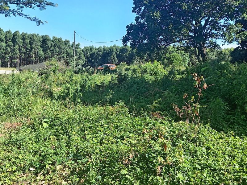 0 Bed Vacant Land in Ongoye, Empangeni Rural for Sale - Photo 5