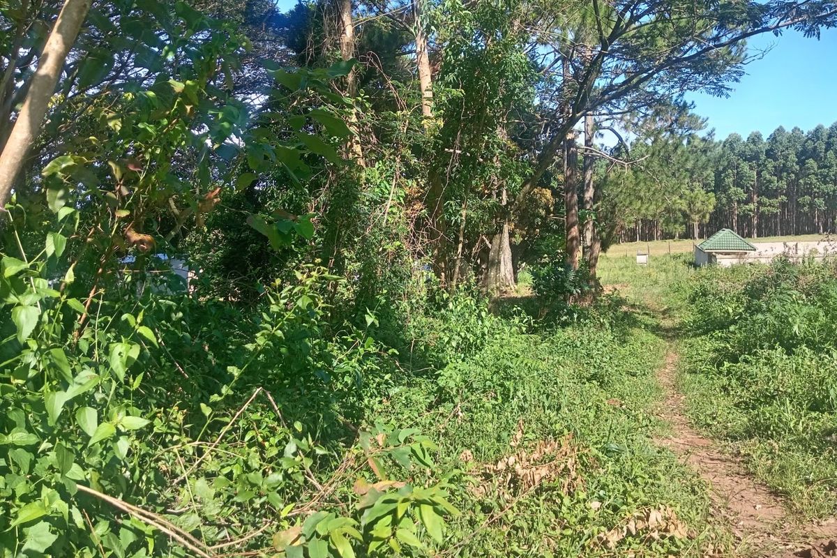 0 Bed Vacant Land in Ongoye, Empangeni Rural for Sale - Photo 3