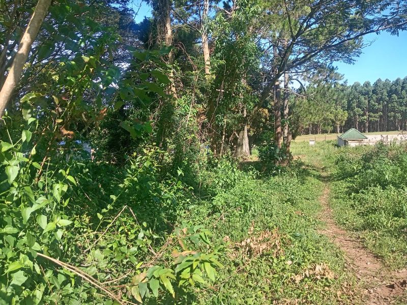 0 Bed Vacant Land in Ongoye, Empangeni Rural for Sale - Photo 3