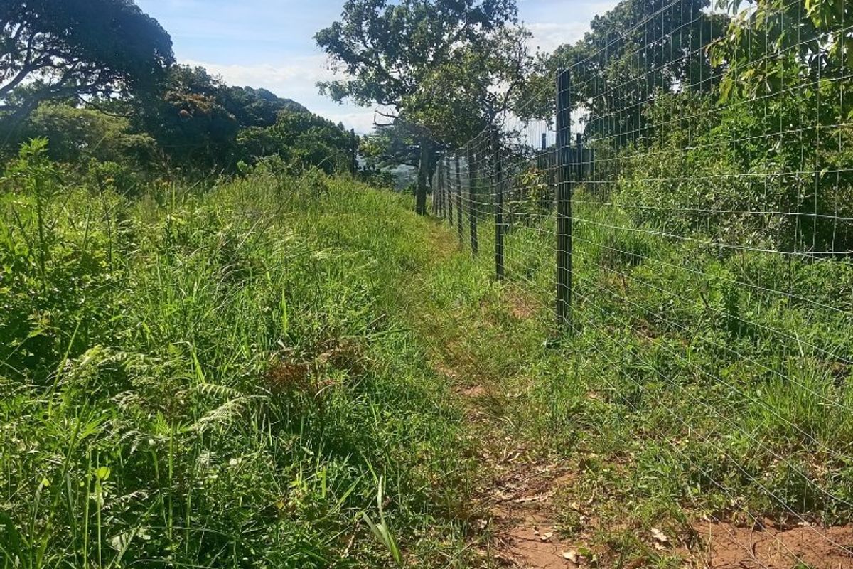 0 Bed Vacant Land in Ongoye, Empangeni Rural for Sale - Photo 2