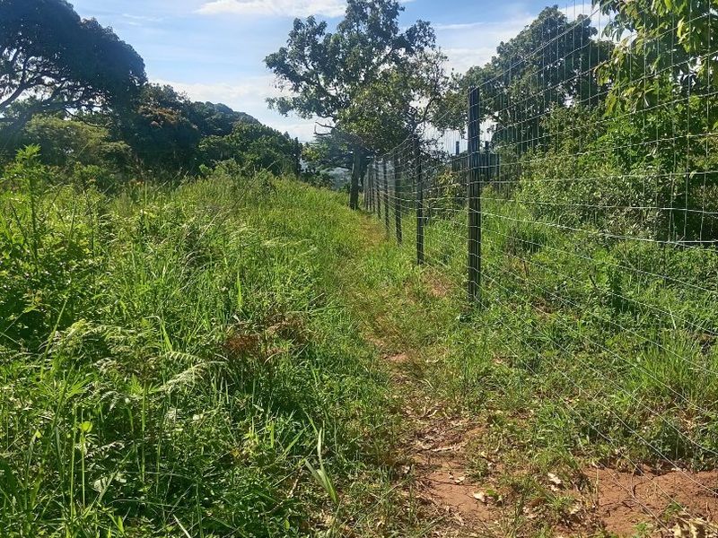 0 Bed Vacant Land in Ongoye, Empangeni Rural for Sale - Photo 2