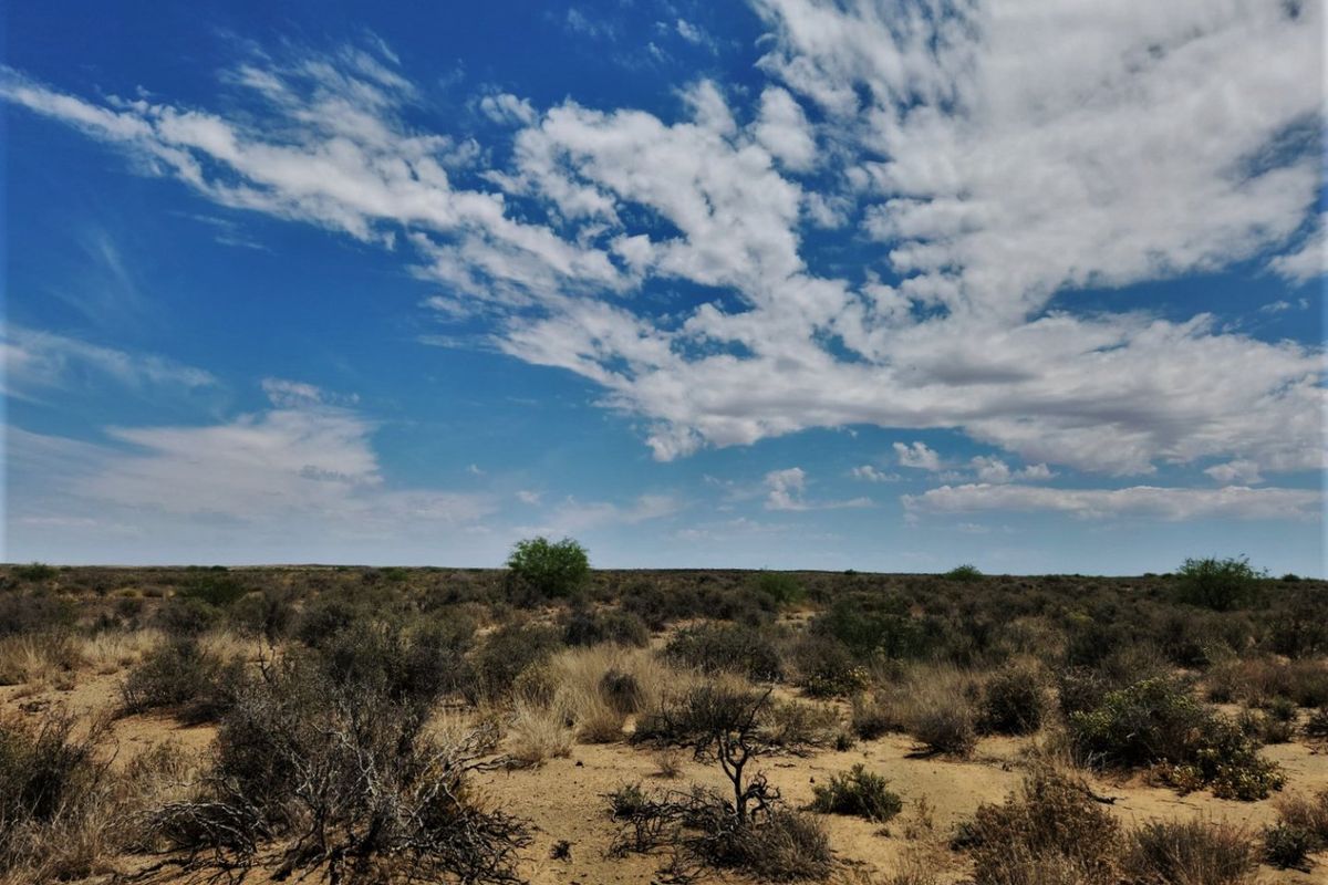 Livestock farm for sale between Brandvlei and Van Wyksvlie, NC - Photo 4