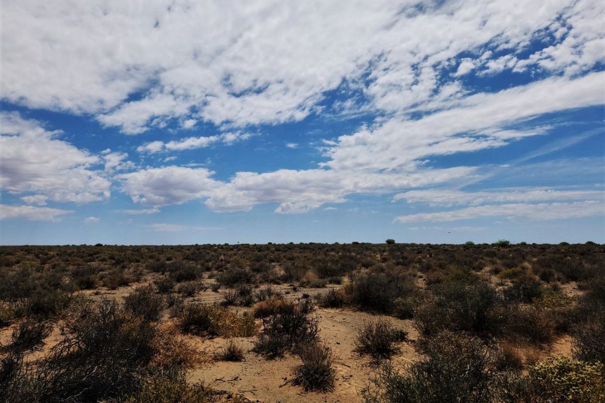 Livestock farm for sale between Brandvlei and Van Wyksvlie, NC - Photo 5