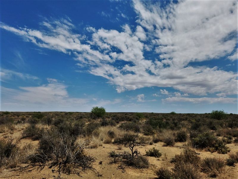 A wide-angle view of the expansive, arid landscape characteristic of the farm property, featuring natural scrub vegetation under a clear blue sky.