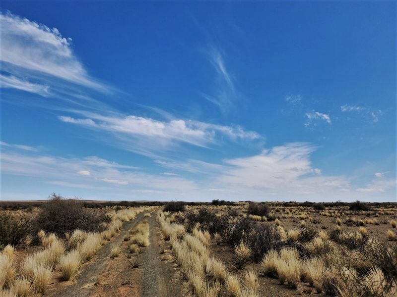 A wide-angle view of the expansive rural landscape featuring a dirt track winding through dry, natural vegetation under a clear blue sky.