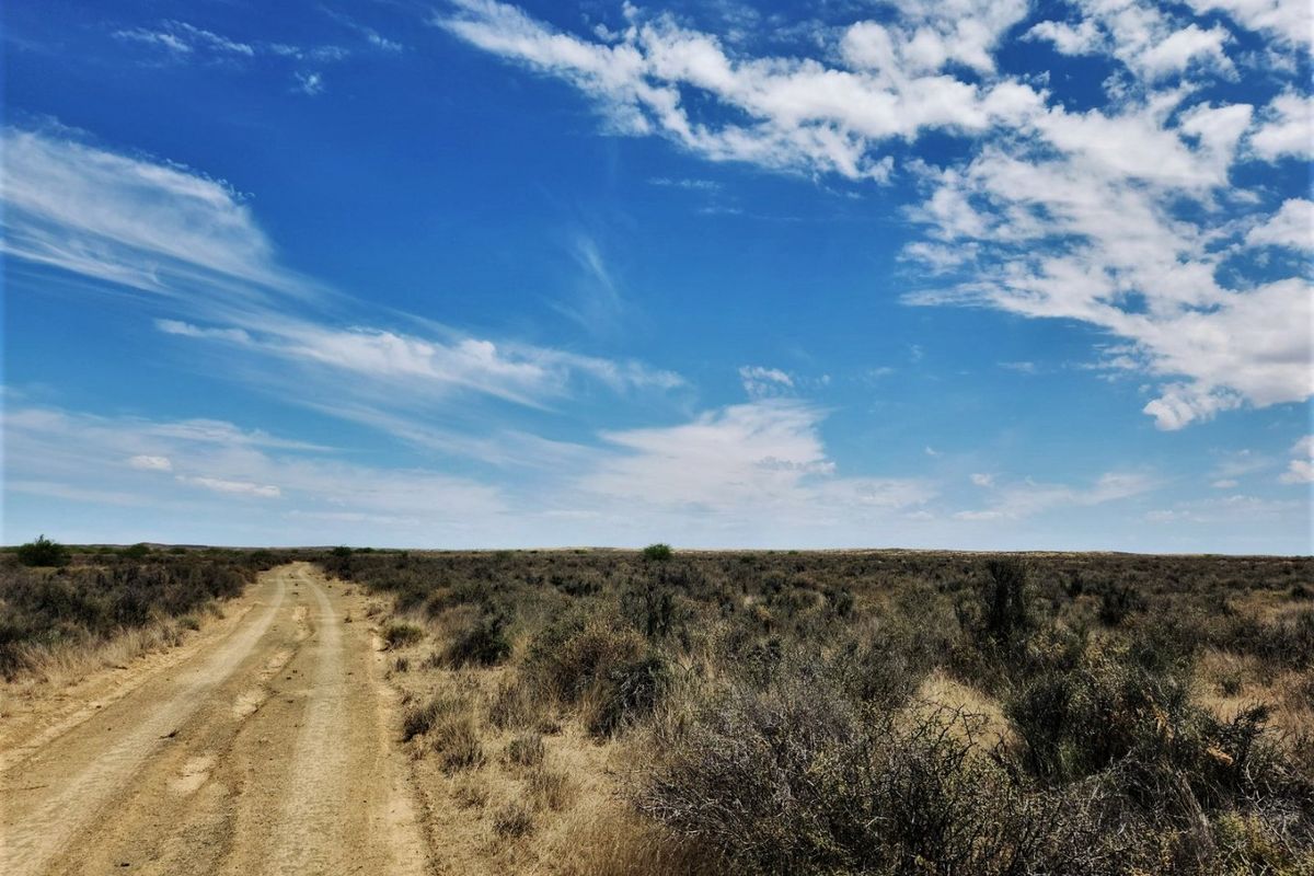 A scenic view of a dirt access road stretching through the open, natural landscape of the farm property under a clear blue sky.