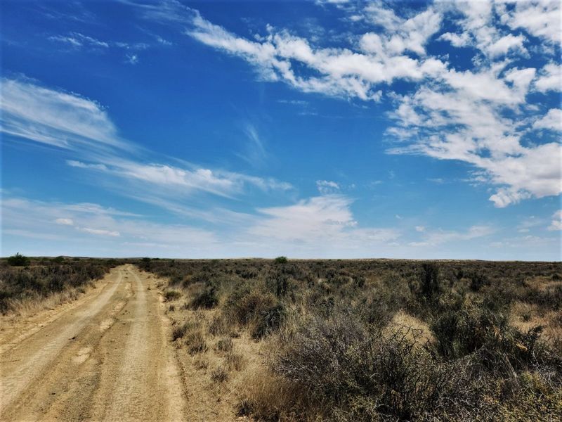 A scenic view of a dirt access road stretching through the open, natural landscape of the farm property under a clear blue sky.