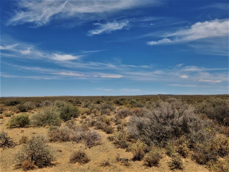 Expansive view of the open farm landscape featuring natural arid vegetation and a clear blue sky.