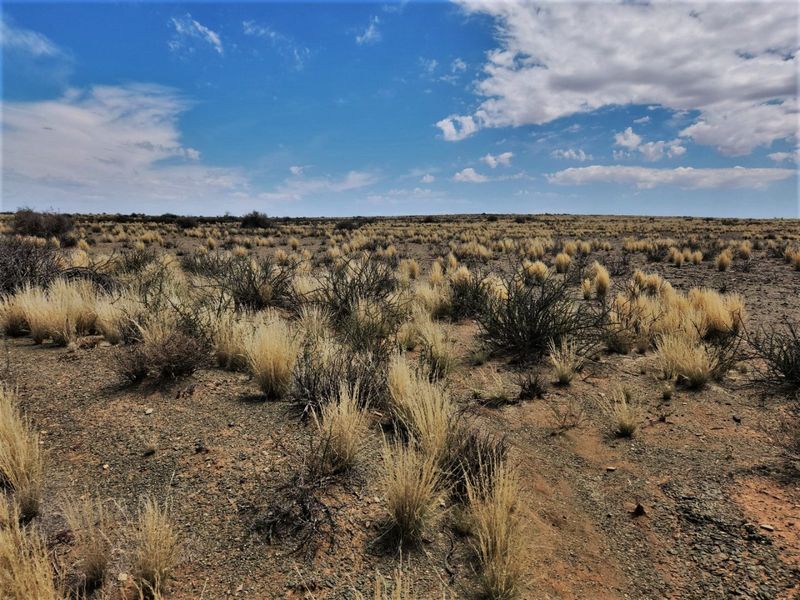 Expansive view of the arid farm landscape featuring natural dry grasses and shrubs under a clear blue sky.