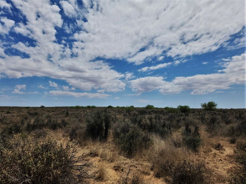 A wide-angle view of the expansive, undeveloped natural landscape featuring native scrub vegetation and open plains under a bright, cloudy sky.
