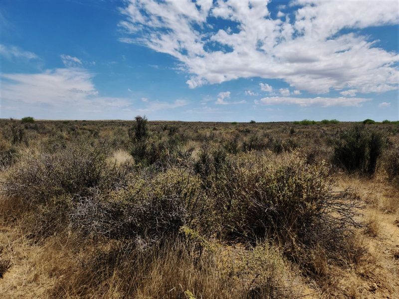 Expansive view of the natural farm landscape featuring native scrub vegetation and open horizon under a clear blue sky.