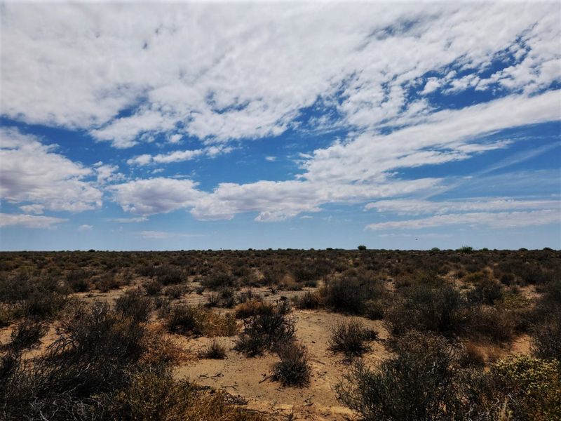 Expansive view of the open farm landscape under a bright blue sky with scattered clouds.