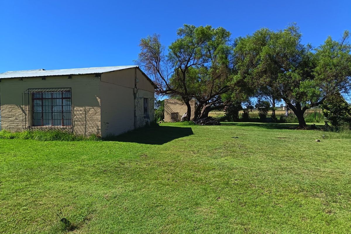 1 bedroom house to Rent on Grassland plos - Photo 3