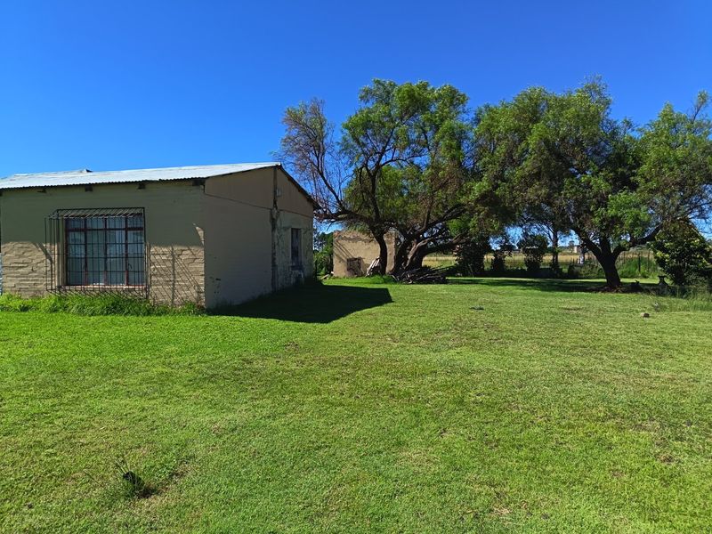 1 bedroom house to Rent on Grassland plos - Photo 3