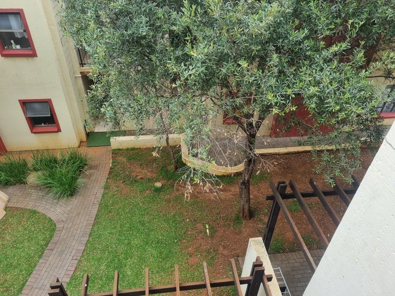 Bachelor Living - Photo 6