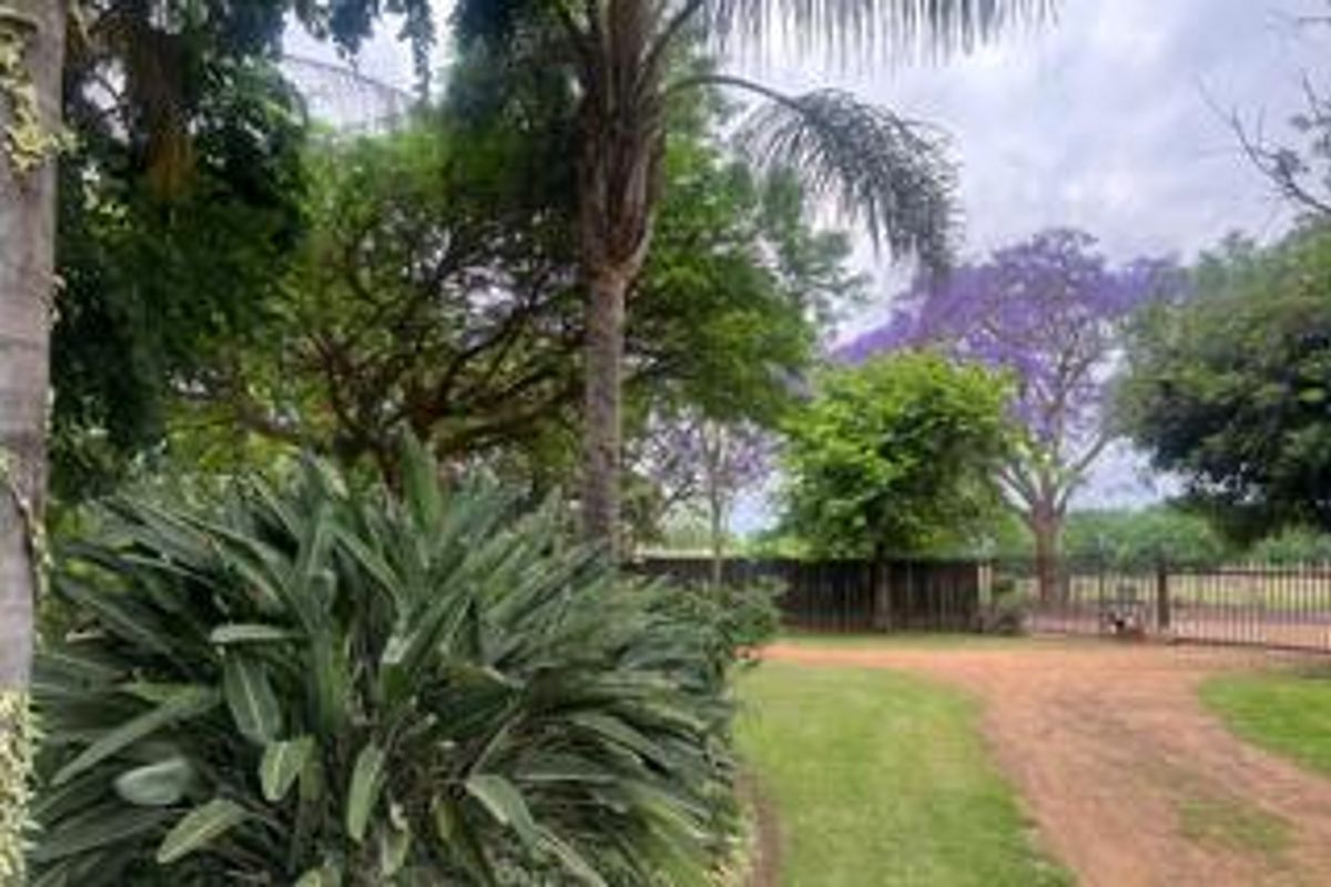 Prime Irrigated Vegetable Farm for Sale – Plot 74 Waterval, Pretoria - Photo 4