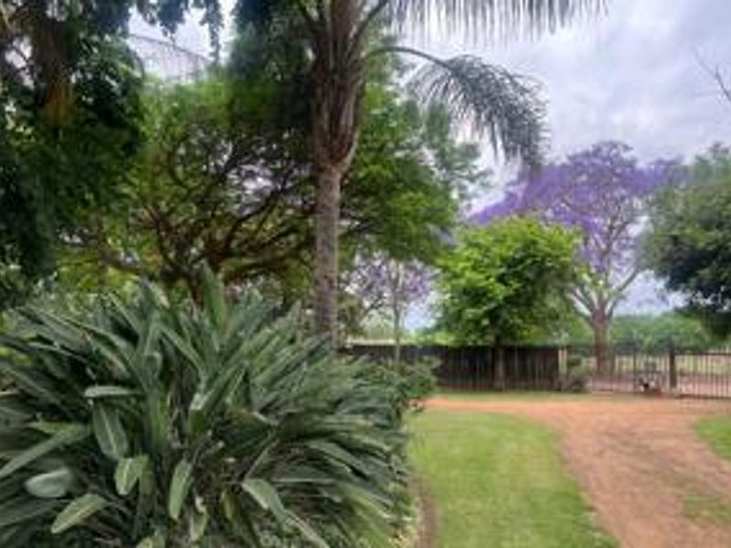 Prime Irrigated Vegetable Farm for Sale – Plot 74 Waterval, Pretoria - Photo 4