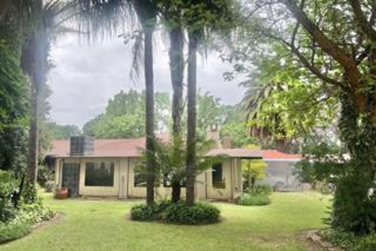 Prime Irrigated Vegetable Farm for Sale – Plot 74 Waterval, Pretoria - Photo 3