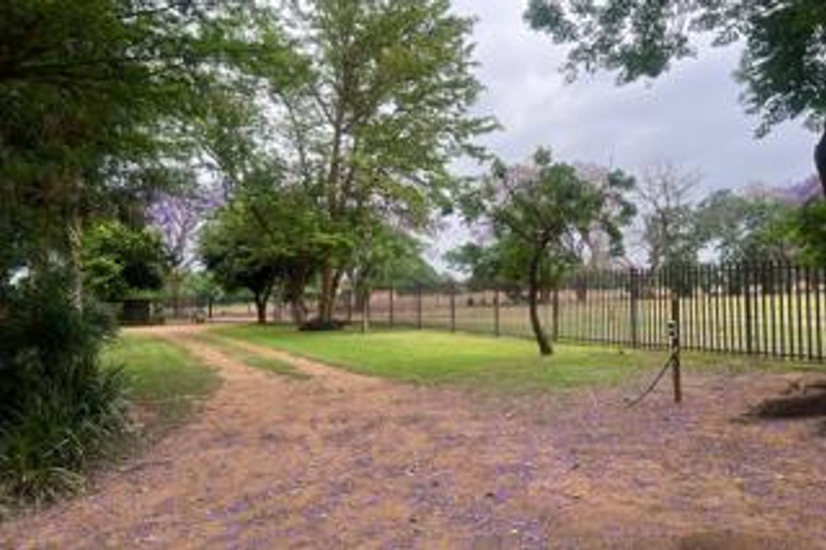Prime Irrigated Vegetable Farm for Sale – Plot 74 Waterval, Pretoria - Photo 5