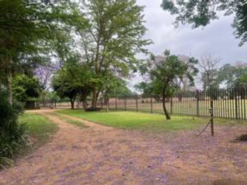 Prime Irrigated Vegetable Farm for Sale – Plot 74 Waterval, Pretoria - Photo 5