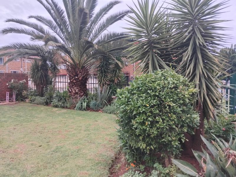 A well-maintained private garden area featuring established palm trees, shrubs, and a lawn, enclosed by a brick wall and metal fencing.