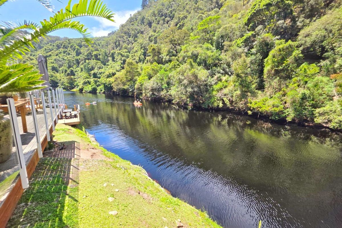 Riverfront Living in Wilderness – A Nature Lover’s Paradise on the Touws River - Photo 5