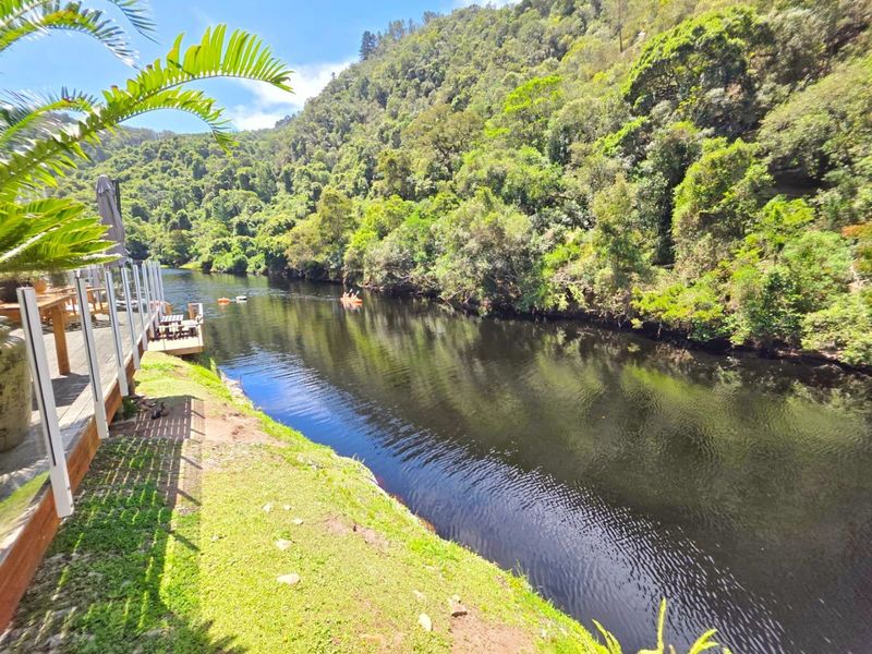 Riverfront Living in Wilderness – A Nature Lover’s Paradise on the Touws River - Photo 5