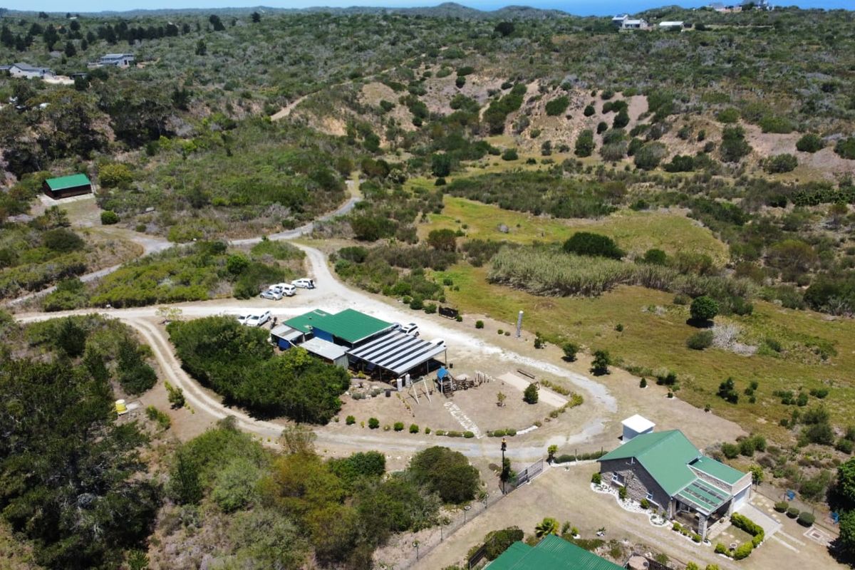 Established Business and Lifestyle Investment - Photo 2