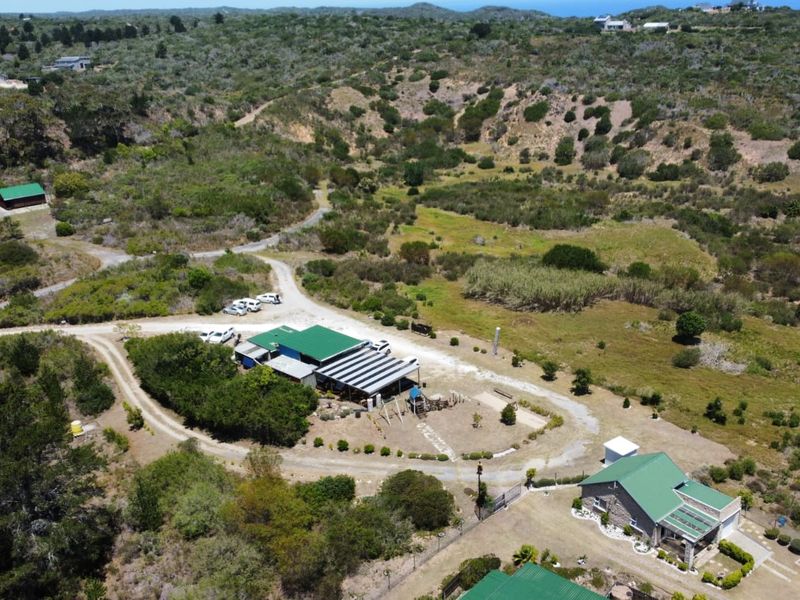 Established Business and Lifestyle Investment - Photo 2