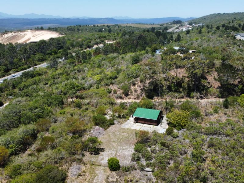 Established Business and Lifestyle Investment - Photo 10