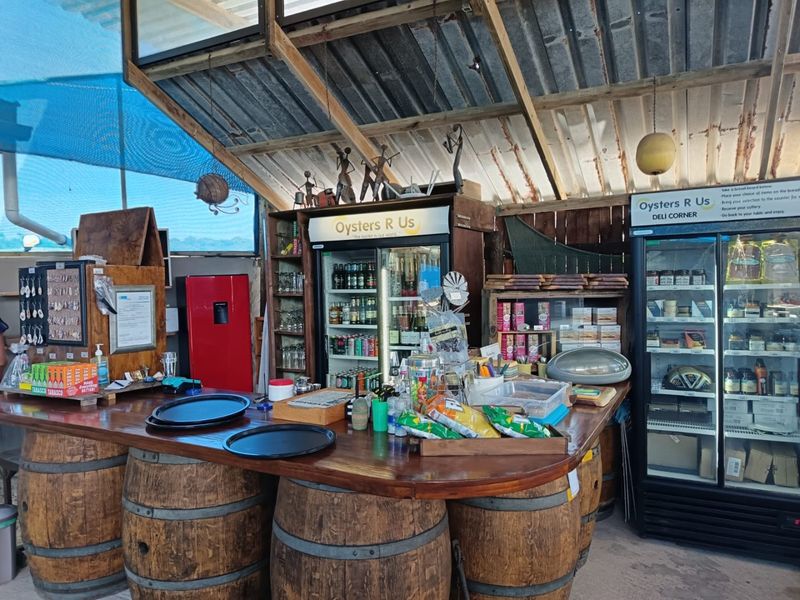 Established Business and Lifestyle Investment - Photo 7