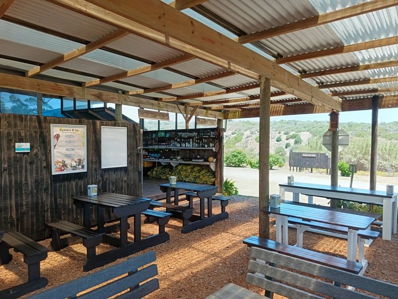 Established Business and Lifestyle Investment - Photo 6