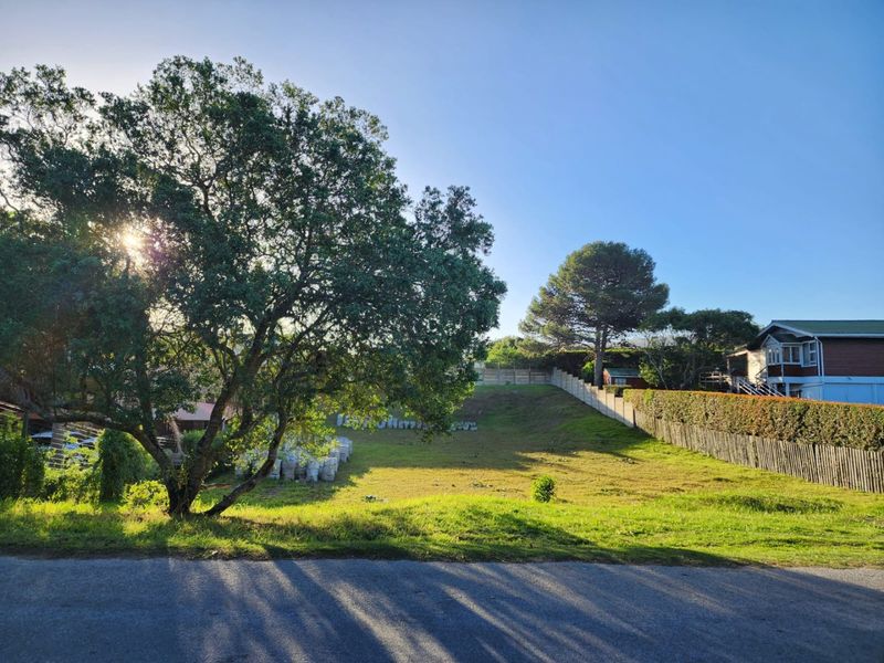 Vacant stand close to the beach in Kingfisher Creek - Photo 3